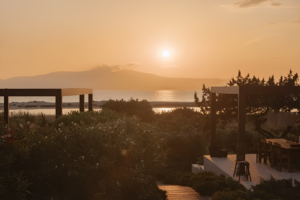 naxos villas