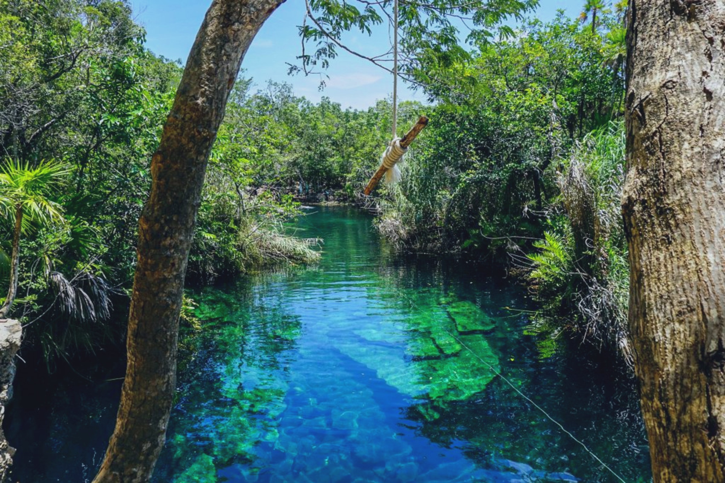 cenotes tulum cave pools