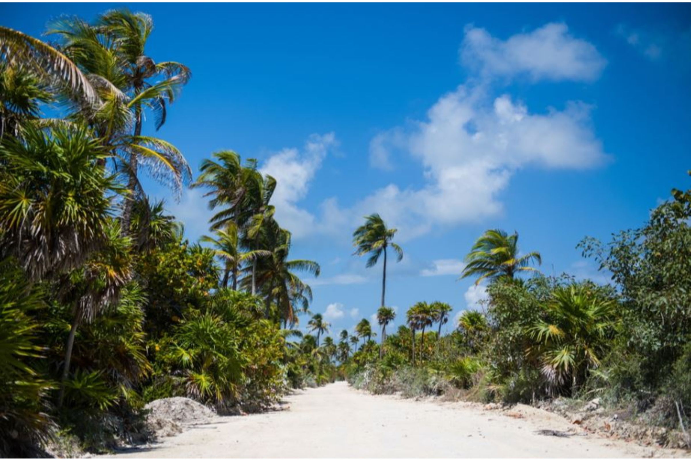 tulum villas on the beach