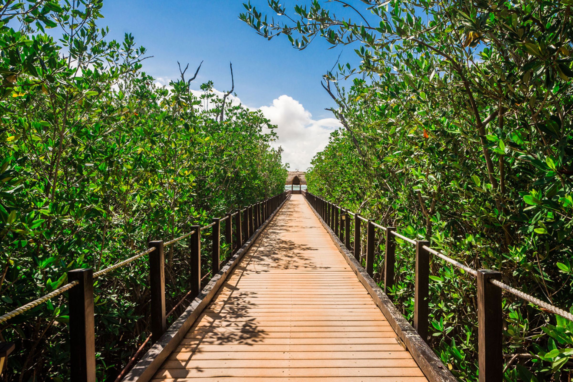 tulum lagoon