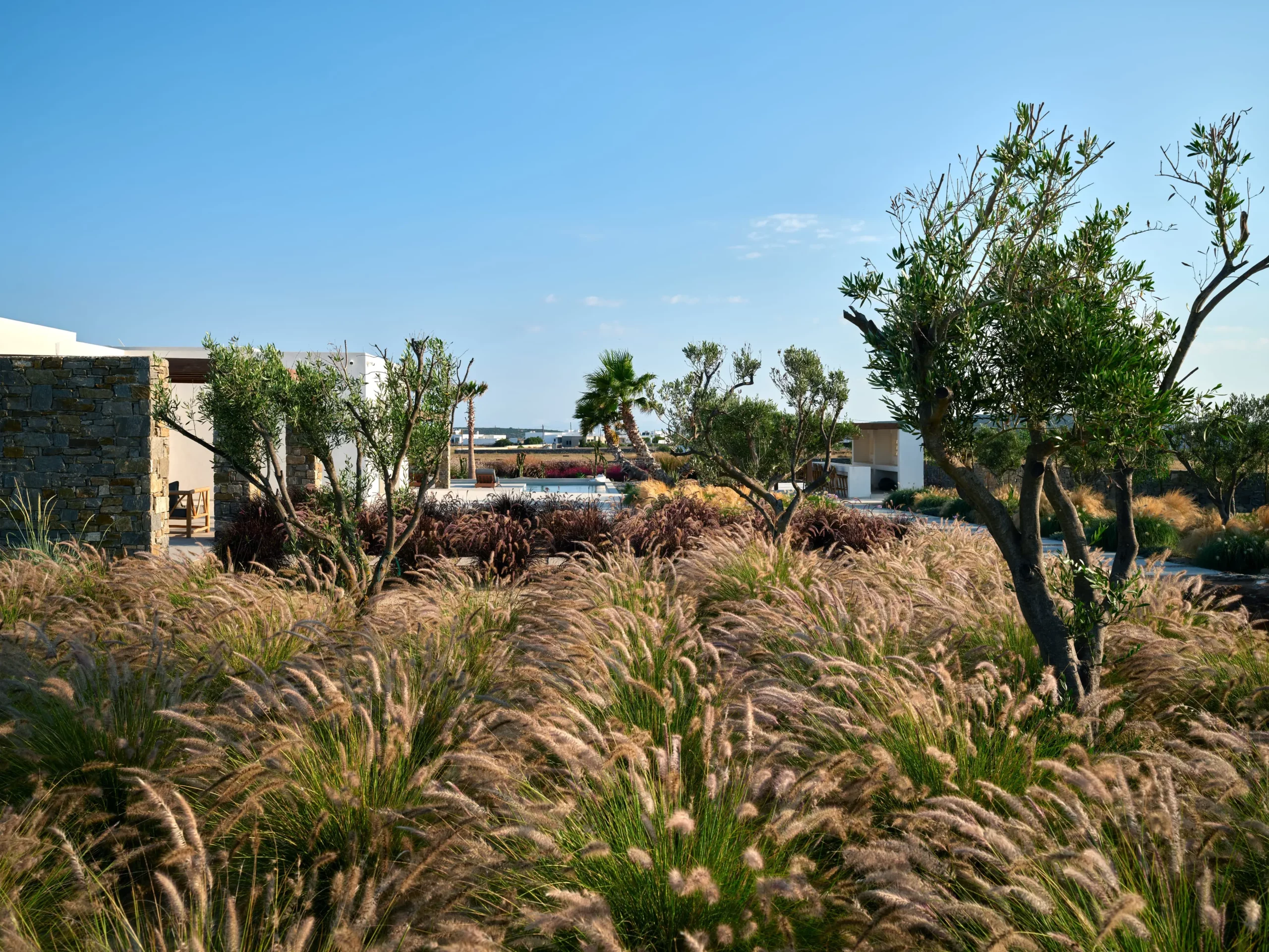 gardens villa jardin santa maria paros