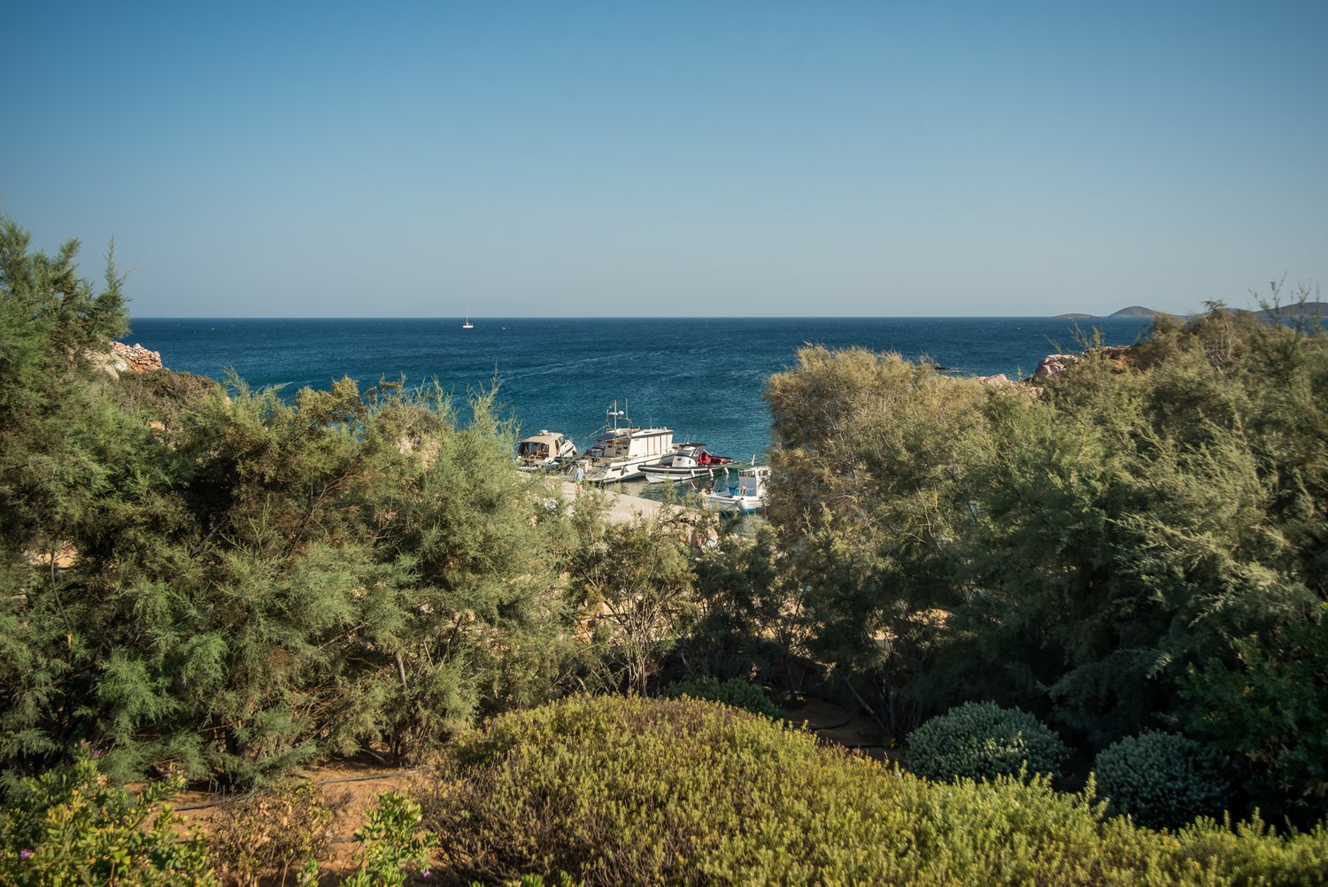 antiparos beach villas